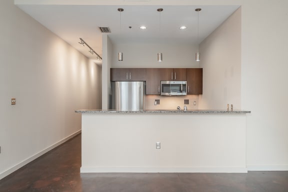 Custom cabinetry in kitchen and bathroom in a variety of finishes - Main 3 Downtown