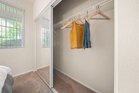 mirrored closet doors