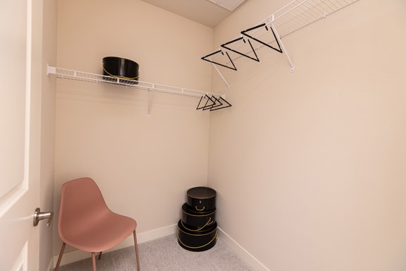 Spacious walk-in closets in select units - NOVA at Green Valley