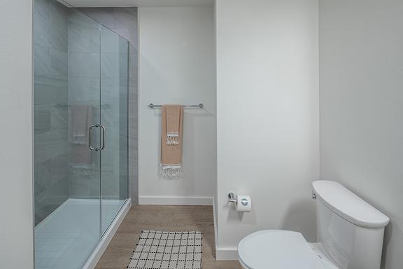 Glass-enclosed showers in select units - Willow Apartments
