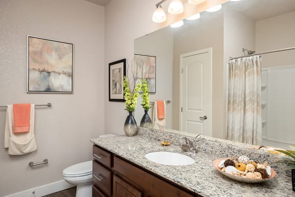 The Haven at Shoal Creek granite countertop