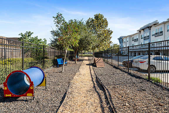 Dog park - Everlee