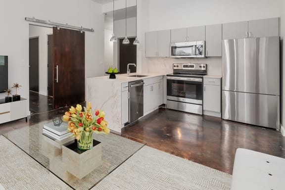 Sliding barn doors* - Main 3 Downtown