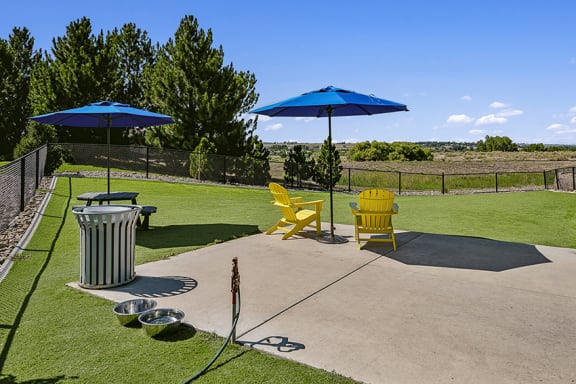 Dog park - Rise at 2534