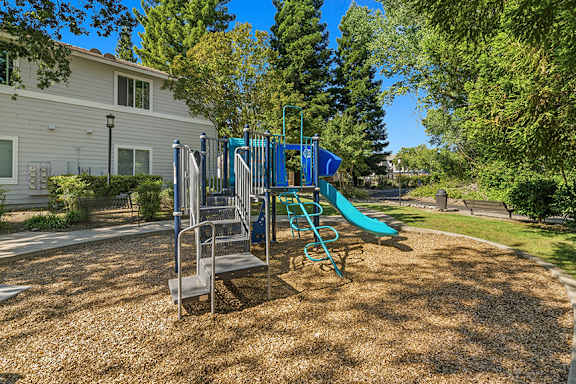 Playground - Preserve at Blue Ravine