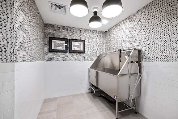 Pet spa - Stonehill at West Orange