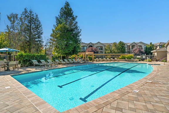 Mountain Shadows Apartments - Resort-style swimming pool and spa