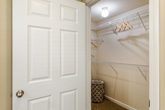 Belle Harbour Apartments - Walk-in closets