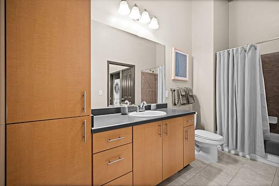 Contemporary cabinets in kitchens and baths - Foothills at Old Town Apartments