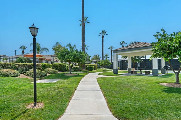 Barton Vineyard Apartments - Exterior photo of landscaped grounds