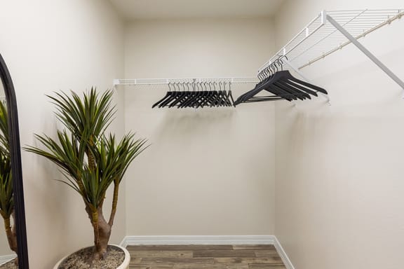 Large walk-in closets in select units - ABQ Uptown Apartments