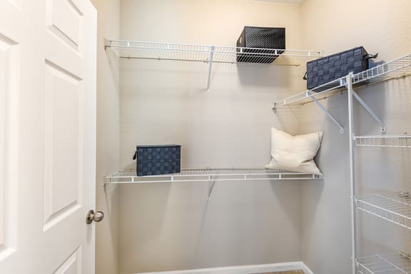 The Crossings at Alexander Place - Walk-in closets