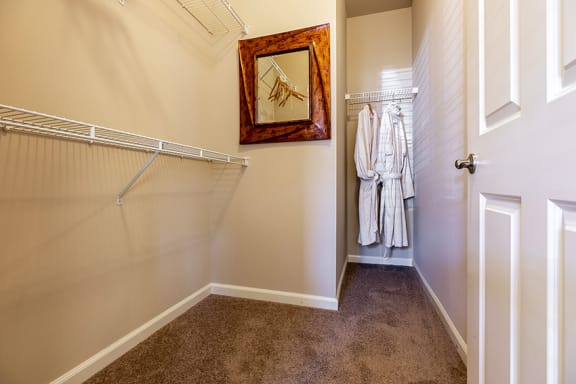 Spacious walk-in closets - Springbrook Apartments