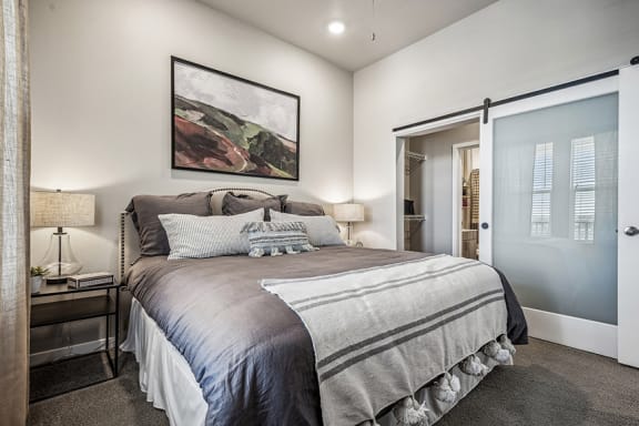Generous closets - Rise at 2534