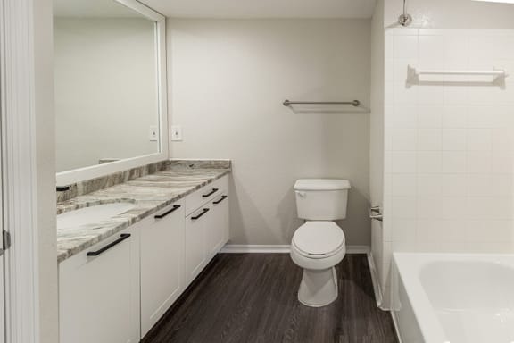 Large bathtubs in bathrooms