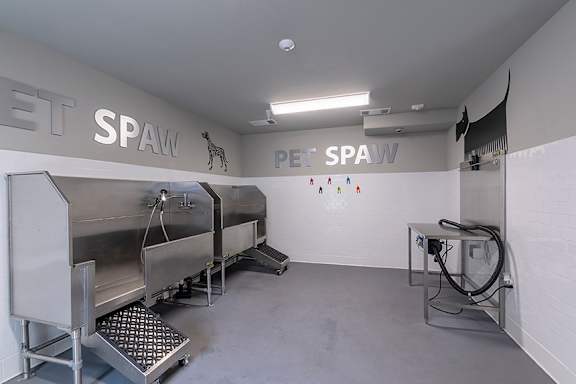 Dog spa - Talavera Apartments