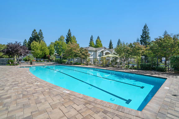 The Commons Apartments pool
