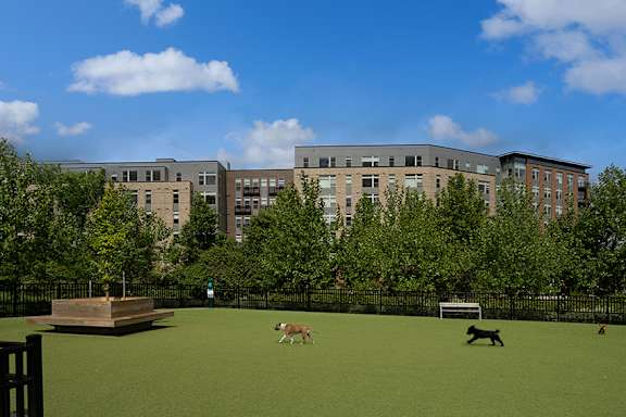 Proximity to The MIle's amenities including a dog park, pond and outdoor walking paths - Brentford at the Mile