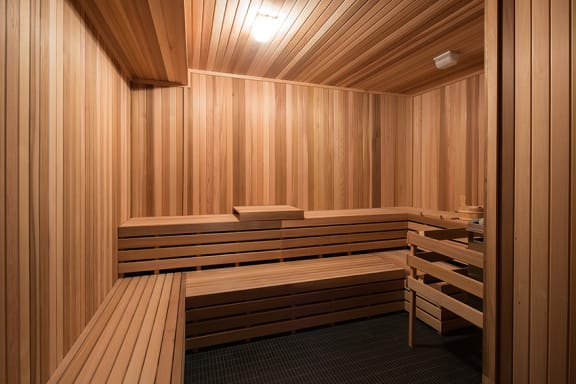 Dry sauna - Onyx Edina
