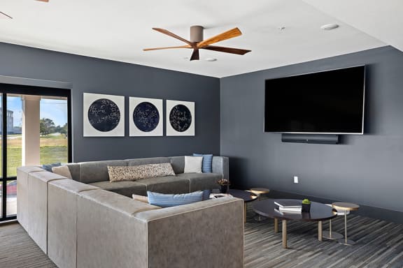 Element 25 theater room