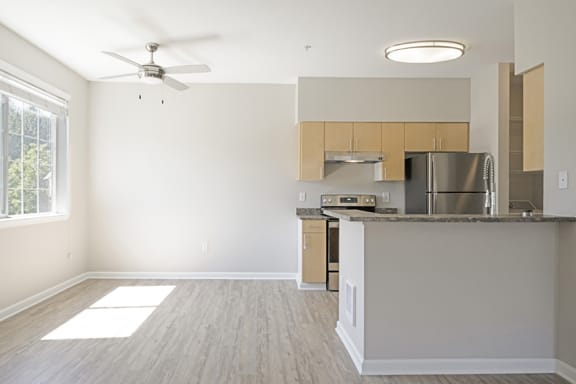 Wood-look flooring - Springbrook Apartments