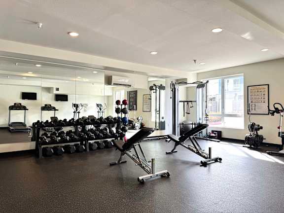 A gym with a variety of equipment including weights and cardio machines.