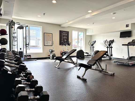 A gym with a variety of equipment including dumbbells, weight benches, and treadmills.
