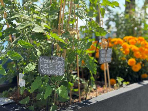 A sign in a garden requests people to help themselves.