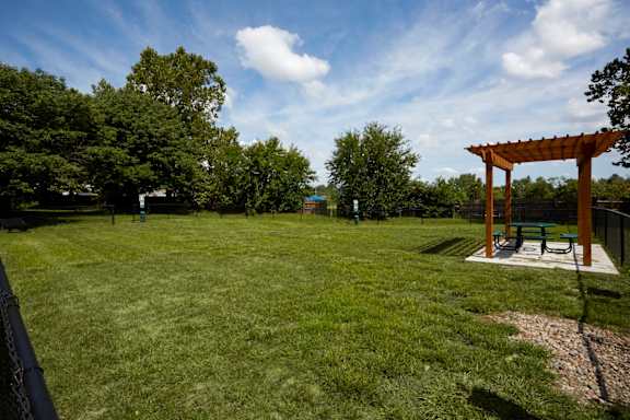A park with a wooden pergola and bench.