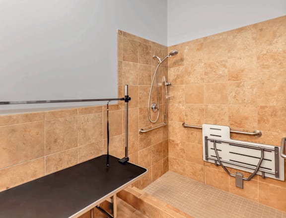 A tiled shower area with a bench and a handheld shower head.
