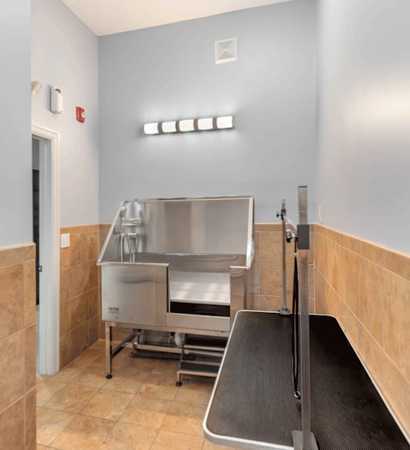 A clean, empty kitchen with a stainless steel sink and a black conveyor belt.