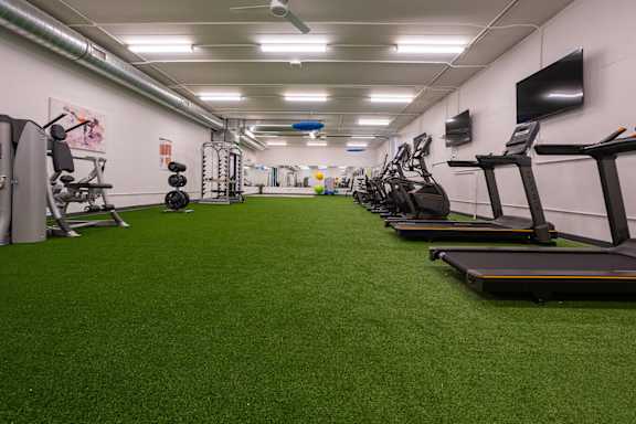 A gym with treadmills and exercise equipment.