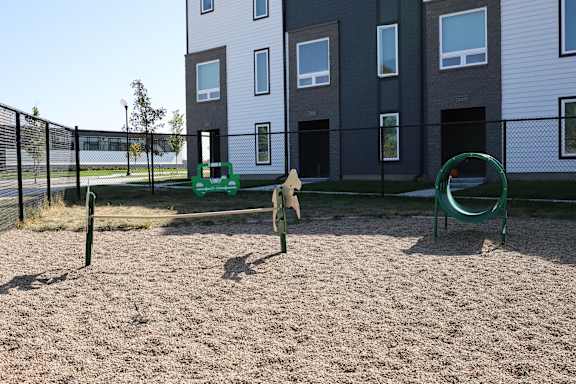 A dog is playing in a sandy area in front of a building.