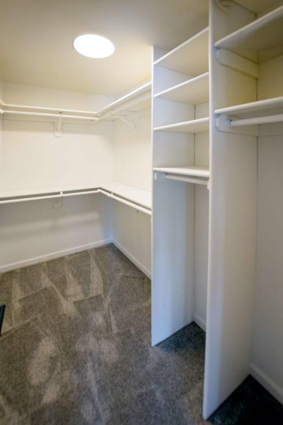 A white closet with shelves and a carpeted floor.