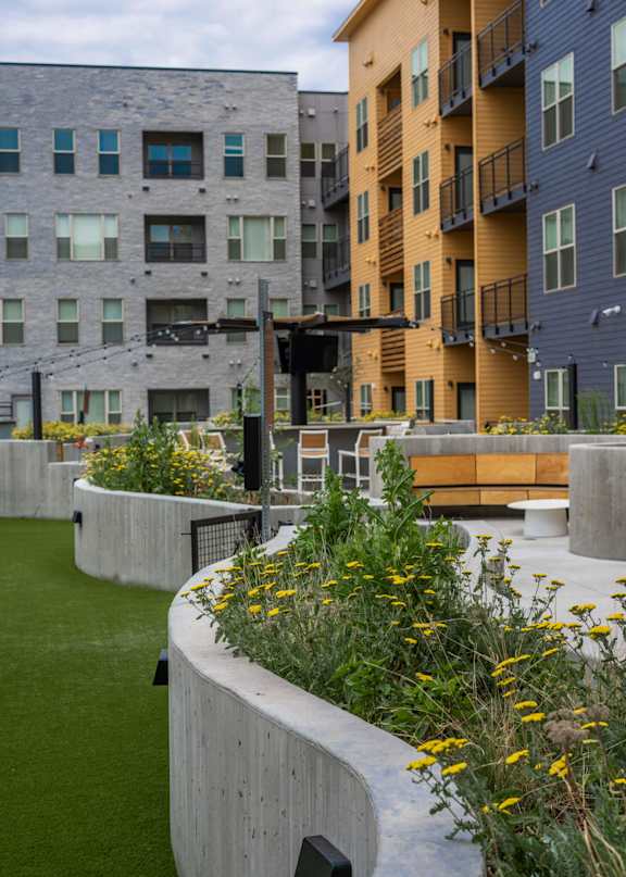 A concrete planter with yellow flowers in the foreground with apartment buildings in the background.
