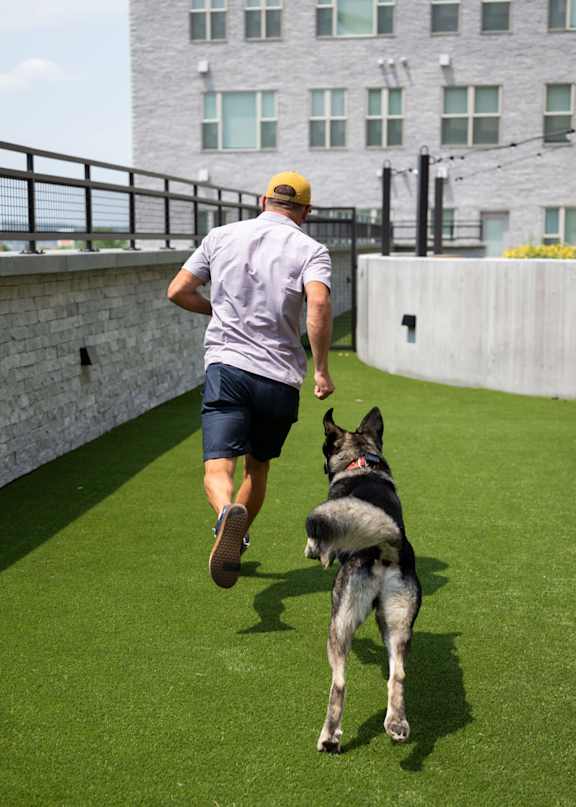 A man and his dog are running on a green lawn.