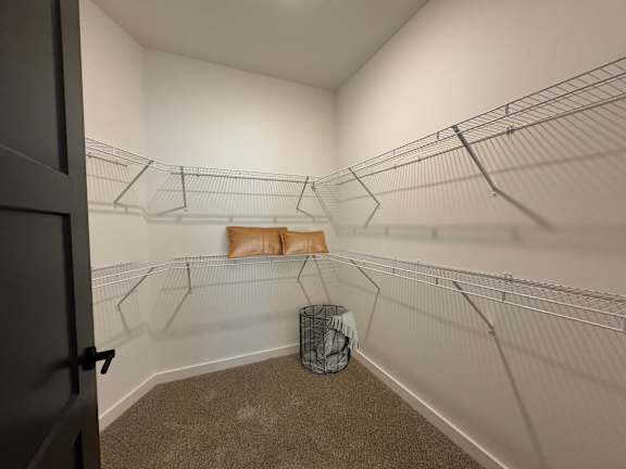 A room with a carpeted floor and a wire shelving unit.