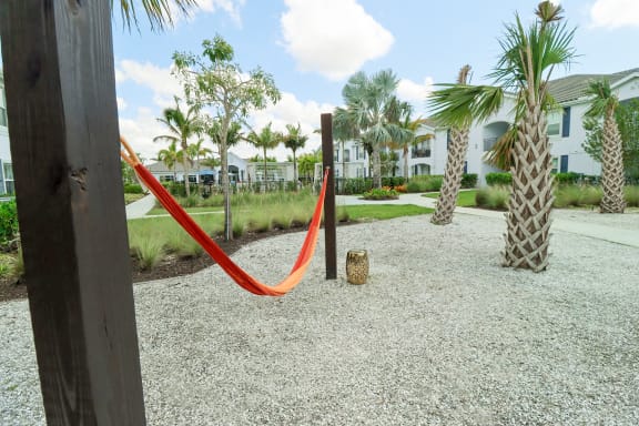 a red hammock in a gravel area with palm trees and houses in the background at The Crest at Naples, Naples