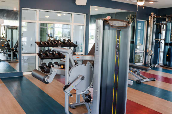 a gym with a cardio machine and weights at The Crest at Naples, Florida, 34113