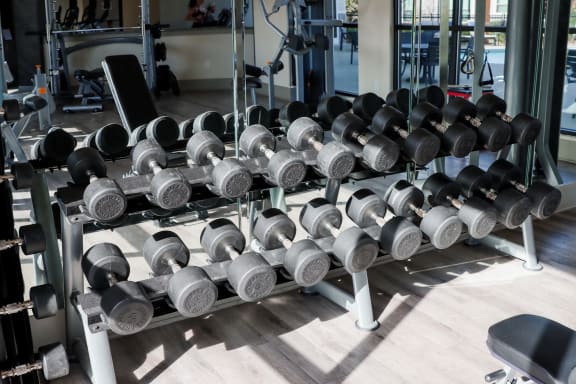 a row of dumbbells in the gym at The Crest at Laurel Canyon, Canton, Georgia