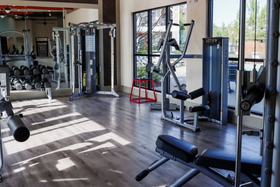 a gym with weights and cardio equipment and a large window at The Crest at Laurel Canyon, Canton