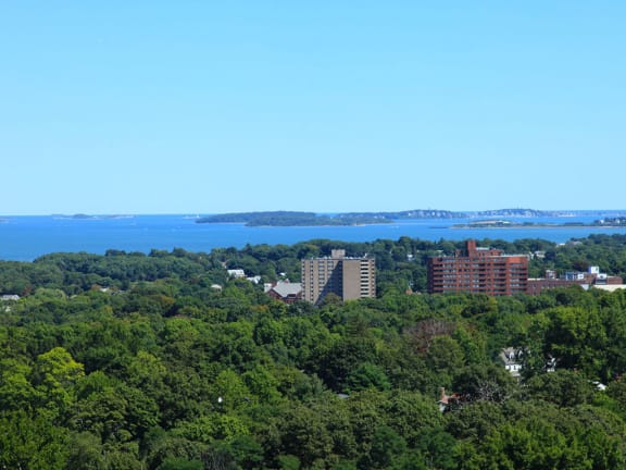 One and Two Bedroom Apartments with Waterviews-HighPoint Apartments