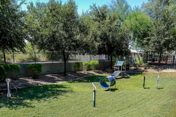 dog park at Avora apartments