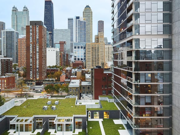 Eight O Five Apartments River North Chicago Town House Green Roof with a City Skyline View at Eight O Five, Chicago, 60610