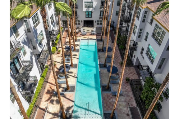 aerial view of swimming pool at Roosevelt Square apartments