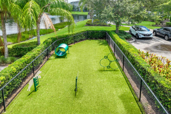 dog park at The Reserves at Alafaya apartments