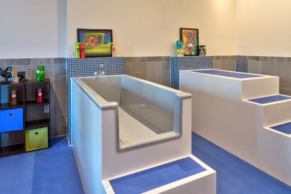 pet friendly dog spa at Berkshire Main Street, North Carolina