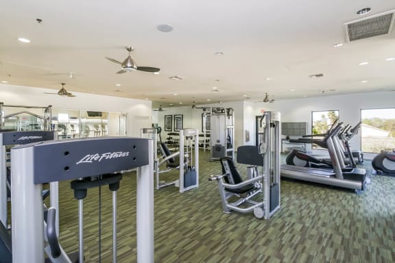 Avora high-impact fitness center