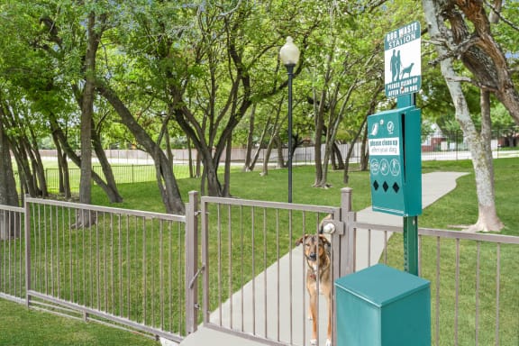 Boardwalk Med Center apartments onsite dog park