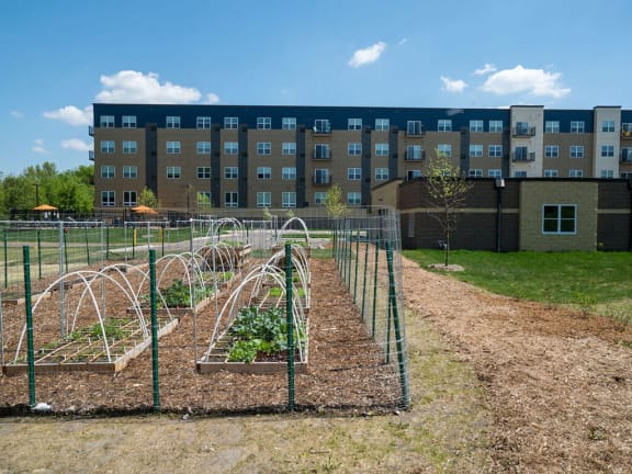 Healthy Living in Blaine, MN. with Community Garden Studio, 1, 2 and 3 Bedroom Apartments with Fitness and Cardio Center-Berkshire Central Apartments